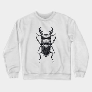 Stag Beetle drawing Crewneck Sweatshirt